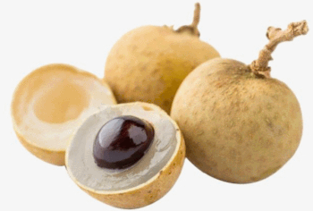 ចំការមៀន